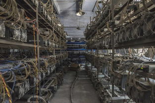 A large-scale Bitcoin mining farm powered by solar panels, exemplifying the shift towards sustainable energy sources in the industry.