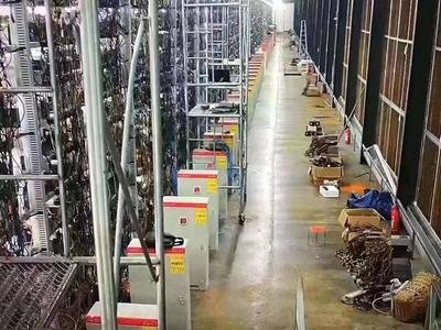 Dogecoin mining farm