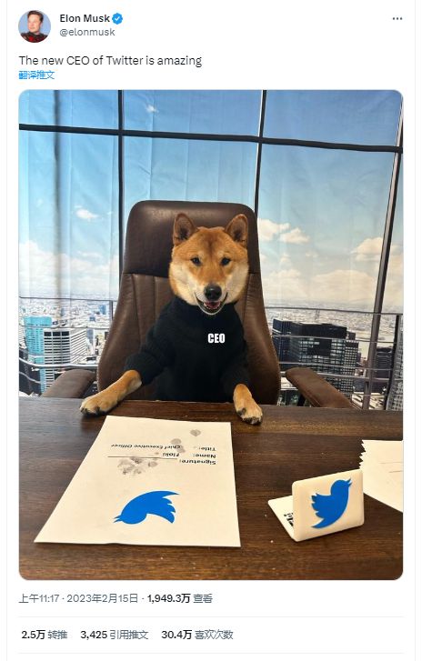 Dogecoin mining setup